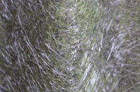 Greenmow fibreglass roof work